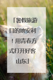暑假旅游目的地安利！用青春方式打开好客山东