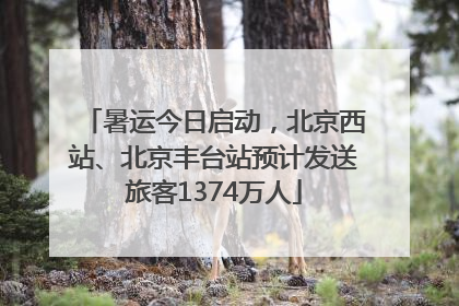 暑运今日启动，北京西站、北京丰台站预计发送旅客1374万人