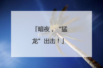 暗夜，“猛龙”出击！