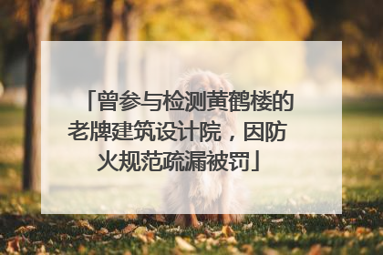 曾参与检测黄鹤楼的老牌建筑设计院，因防火规范疏漏被罚