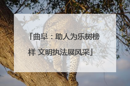 曲阜：助人为乐树榜样 文明执法展风采
