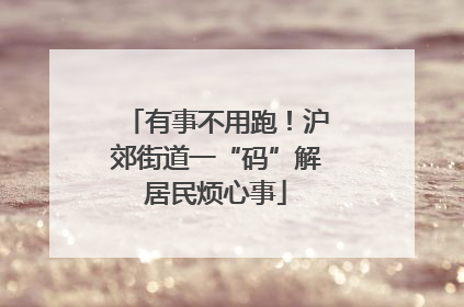 有事不用跑！沪郊街道一“码”解居民烦心事