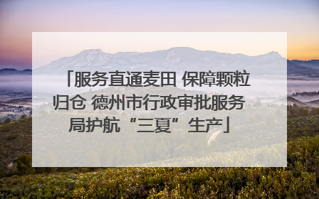 服务直通麦田 保障颗粒归仓 德州市行政审批服务局护航“三夏”生产