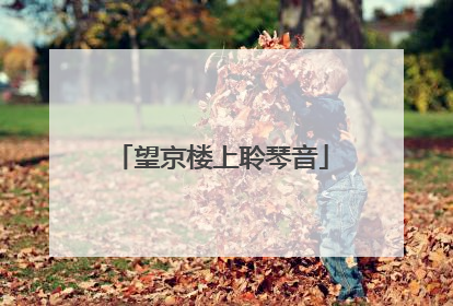 望京楼上聆琴音