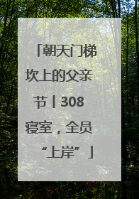 朝天门梯坎上的父亲节丨308寝室，全员“上岸”