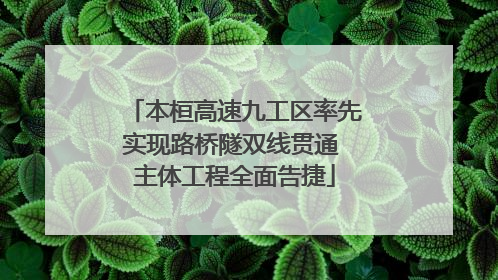 本桓高速九工区率先实现路桥隧双线贯通 主体工程全面告捷