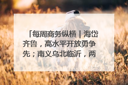 每周商务纵横｜海岱齐鲁，高水平开放勇争先；南义乌北临沂，两扇窗里观外贸
