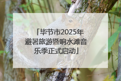 毕节市2025年避暑旅游暨响水滩音乐季正式启动
