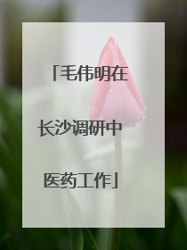 毛伟明在长沙调研中医药工作