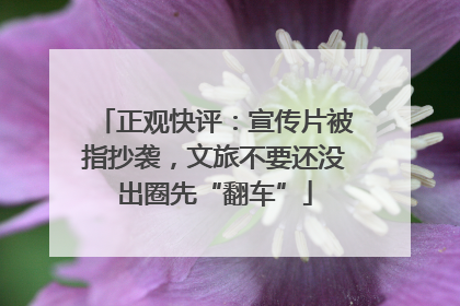正观快评：宣传片被指抄袭，文旅不要还没出圈先“翻车”
