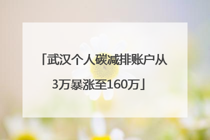 武汉个人碳减排账户从3万暴涨至160万
