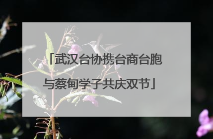 武汉台协携台商台胞与蔡甸学子共庆双节
