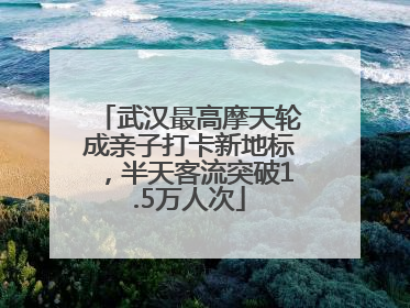 武汉最高摩天轮成亲子打卡新地标，半天客流突破1.5万人次
