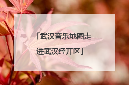 武汉音乐地图走进武汉经开区