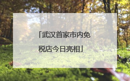 武汉首家市内免税店今日亮相
