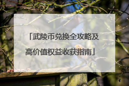 武陵币兑换全攻略及高价值权益收获指南