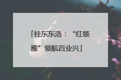 桂东东洛：“红领雁”领航百业兴