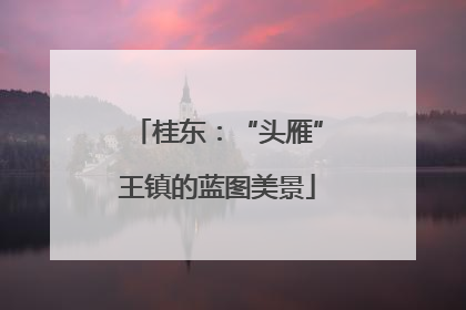 桂东：“头雁”王镇的蓝图美景