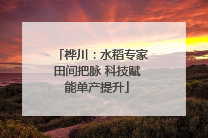 桦川：水稻专家田间把脉 科技赋能单产提升