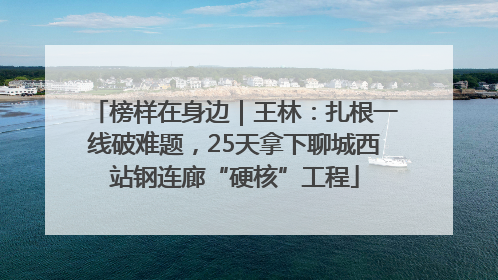 榜样在身边｜王林：扎根一线破难题，25天拿下聊城西站钢连廊“硬核”工程