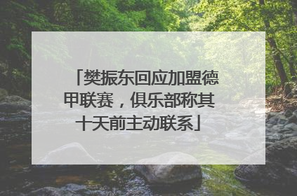 樊振东回应加盟德甲联赛，俱乐部称其十天前主动联系
