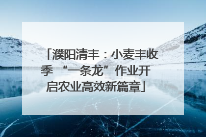 濮阳清丰：小麦丰收季 “一条龙”作业开启农业高效新篇章