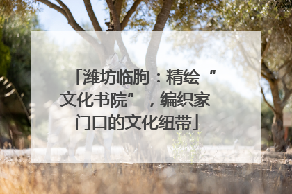潍坊临朐：精绘“文化书院”，编织家门口的文化纽带