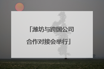 潍坊与跨国公司合作对接会举行