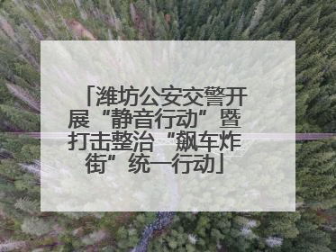 潍坊公安交警开展“静音行动”暨打击整治“飙车炸街”统一行动