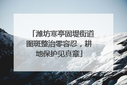 潍坊寒亭固堤街道图斑整治零容忍，耕地保护见真章