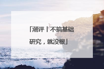潮评丨不搞基础研究，就没根