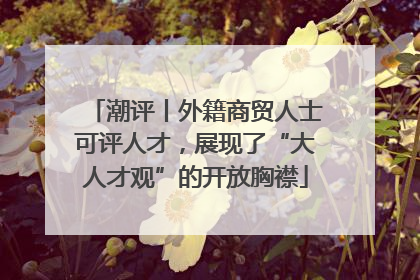 潮评丨外籍商贸人士可评人才，展现了“大人才观”的开放胸襟