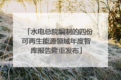 水电总院编制的四份可再生能源领域年度智库报告隆重发布