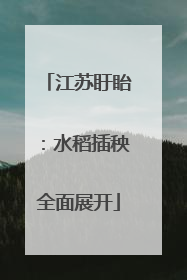 江苏盱眙：水稻插秧全面展开