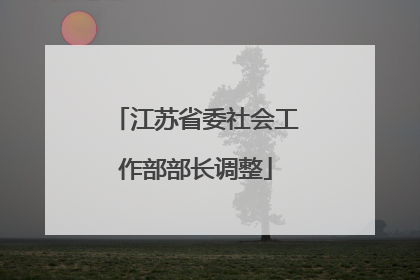 江苏省委社会工作部部长调整
