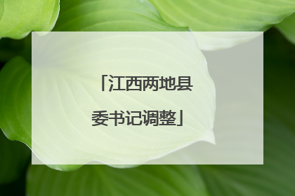 江西两地县委书记调整