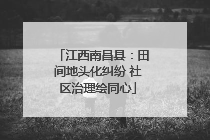 江西南昌县：田间地头化纠纷 社区治理绘同心