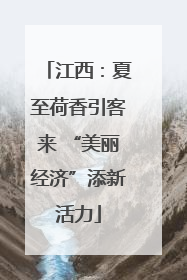 江西：夏至荷香引客来 “美丽经济”添新活力
