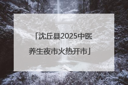 沈丘县2025中医养生夜市火热开市