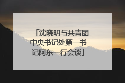 沈晓明与共青团中央书记处第一书记阿东一行会谈