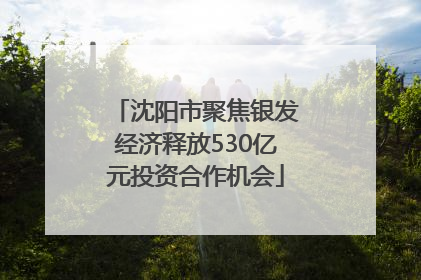 沈阳市聚焦银发经济释放530亿元投资合作机会
