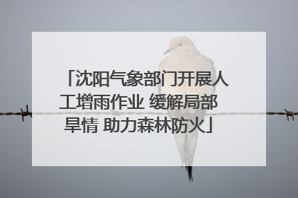 沈阳气象部门开展人工增雨作业 缓解局部旱情 助力森林防火
