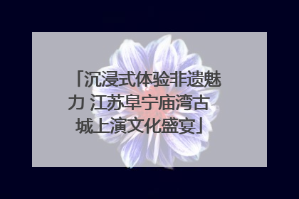 沉浸式体验非遗魅力 江苏阜宁庙湾古城上演文化盛宴