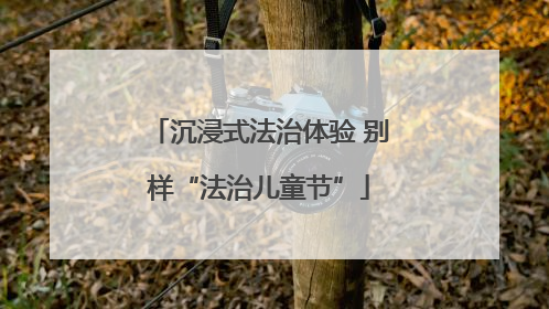 沉浸式法治体验 别样“法治儿童节”