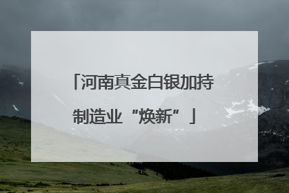河南真金白银加持制造业“焕新”