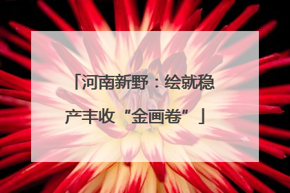 河南新野：绘就稳产丰收“金画卷”