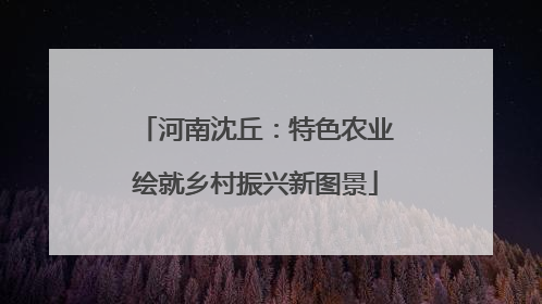 河南沈丘：特色农业绘就乡村振兴新图景