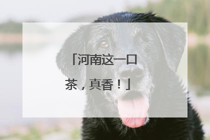 河南这一口茶，真香！
