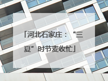 河北石家庄：“三夏”时节麦收忙