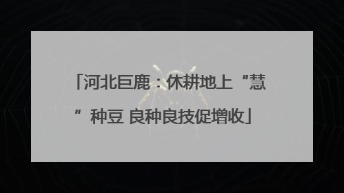 河北巨鹿：休耕地上“慧”种豆 良种良技促增收